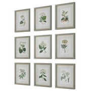 Uttermost Antique Botanicals Set of 9 Framed Prints