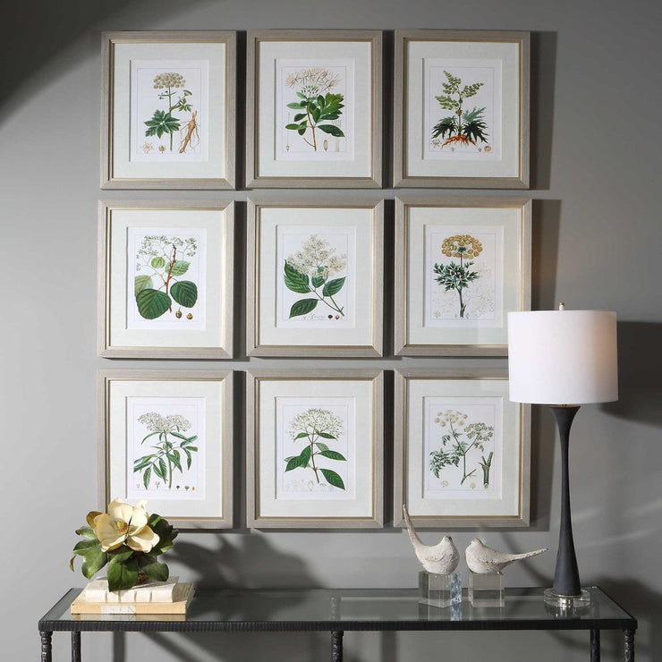 Uttermost Antique Botanicals Set of 9 Framed Prints