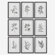 Uttermost Farmhouse Florals Set of 9 Framed Prints