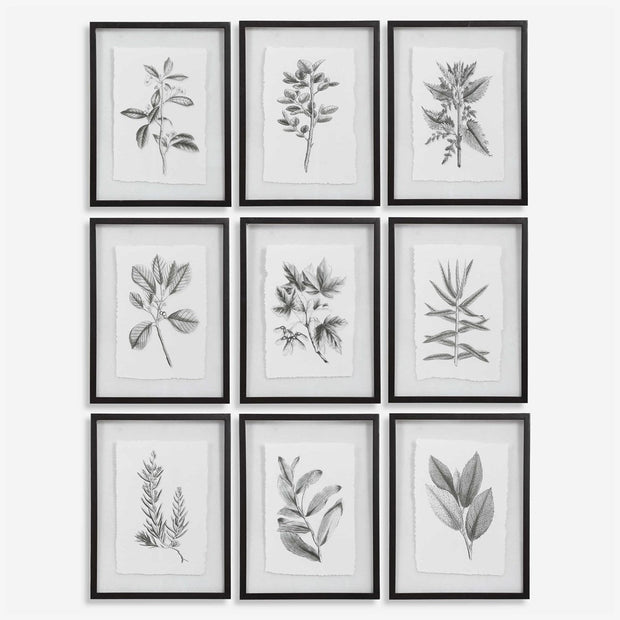 Uttermost Farmhouse Florals Set of 9 Framed Prints
