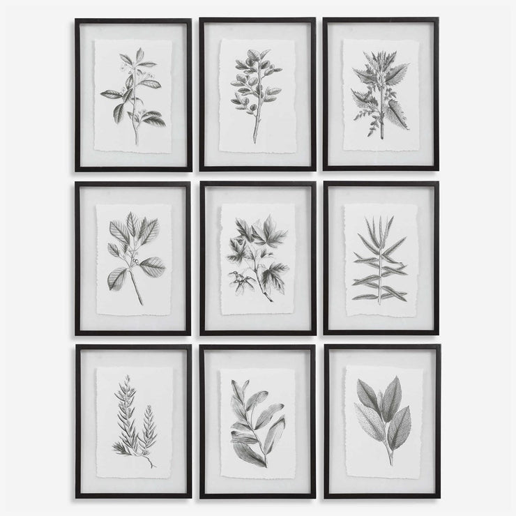 Uttermost Farmhouse Florals Set of 9 Framed Prints