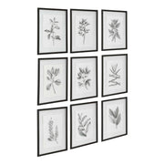 Uttermost Farmhouse Florals Set of 9 Framed Prints