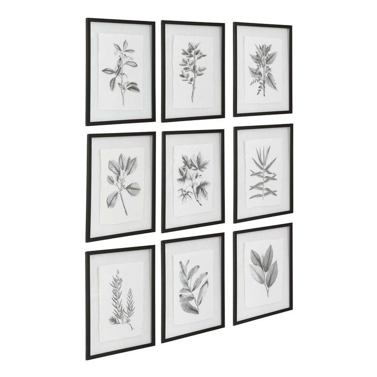 Uttermost Farmhouse Florals Set of 9 Framed Prints