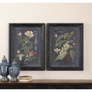 Uttermost Midnight Botanicals Set of 2 Framed Prints