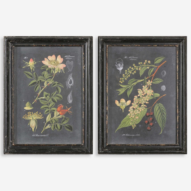 Uttermost Midnight Botanicals Set of 2 Framed Prints