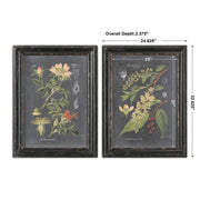 Uttermost Midnight Botanicals Set of 2 Framed Prints