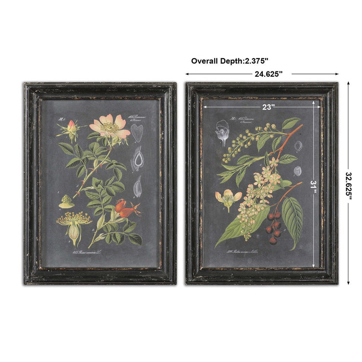 Uttermost Midnight Botanicals Set of 2 Framed Prints