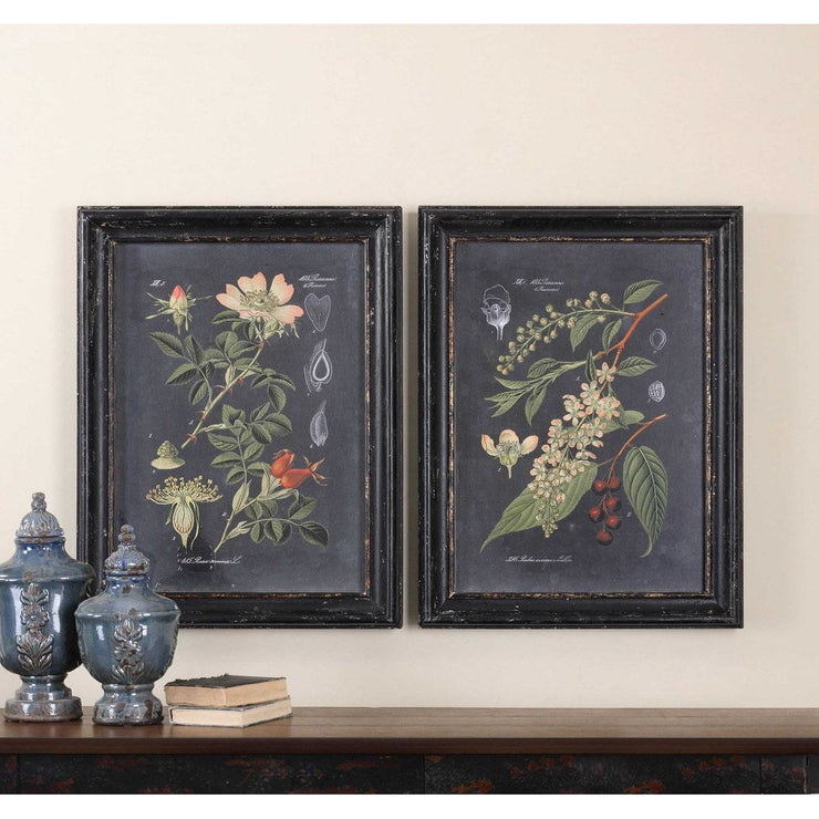 Uttermost Midnight Botanicals Set of 2 Framed Prints