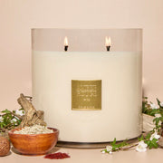 Big Ass Luxuries Amber Rouge Baby Big Ass Luxe Collection Candle ~ 150 oz. 300-500 Hours Burn Time