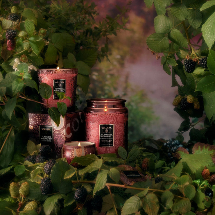Voluspa Foraged Wildberry Large Jar Candle ~ 18 oz.