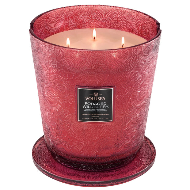 Voluspa Foraged Wildberry 5 Wick Hearth Candle ~ 123 oz.