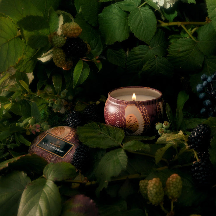 Voluspa Foraged Wildberry Mini Tin Candle
