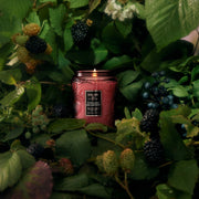 Voluspa Foraged Wildberry Small Jar Candle ~ 5.5 oz.