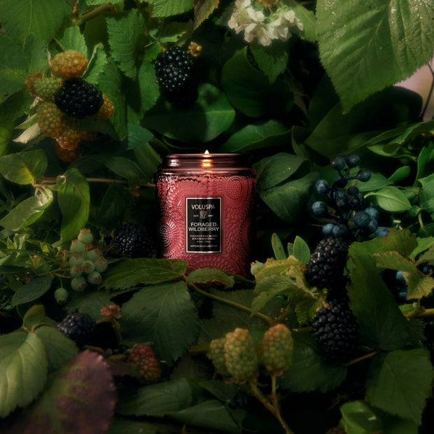 Voluspa Foraged Wildberry Small Jar Candle ~ 5.5 oz.