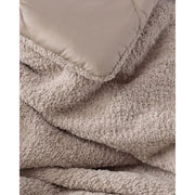 Sunday Citizen Taupe Snug Comforter Available in Queen and King Sizes