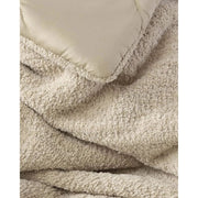 Sunday Citizen Sahara Tan Snug Comforter Available in Queen and King Sizes