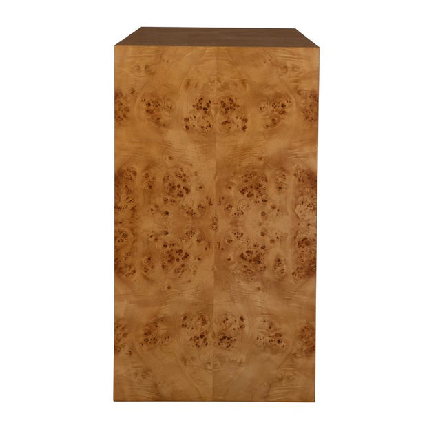 Uttermost Indus 2 Door Burl Chest