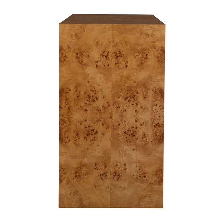 Uttermost Indus 2 Door Burl Chest