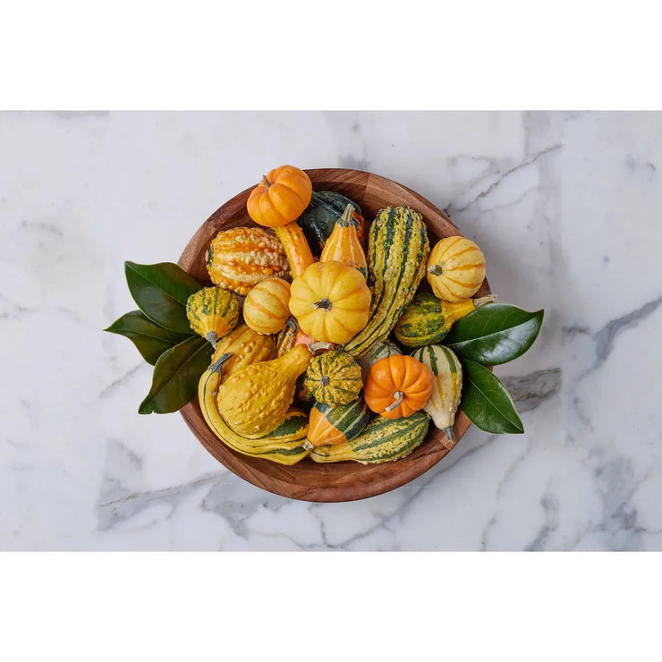 etúHOME Acacia Wood Couscous Serving Bowl ~ LAST CHANCE SALE ~ LIMITED QUANTITY