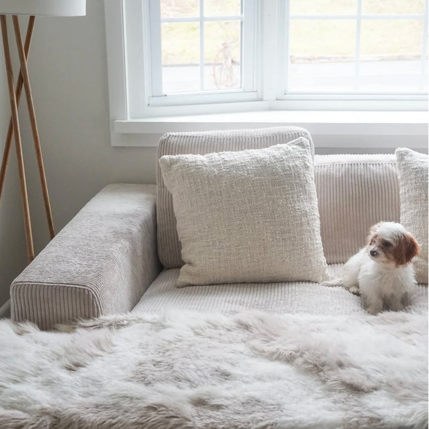 Anaya Home Cozy Cotton White Boucle Euro Pillow 26x26 With Down Insert