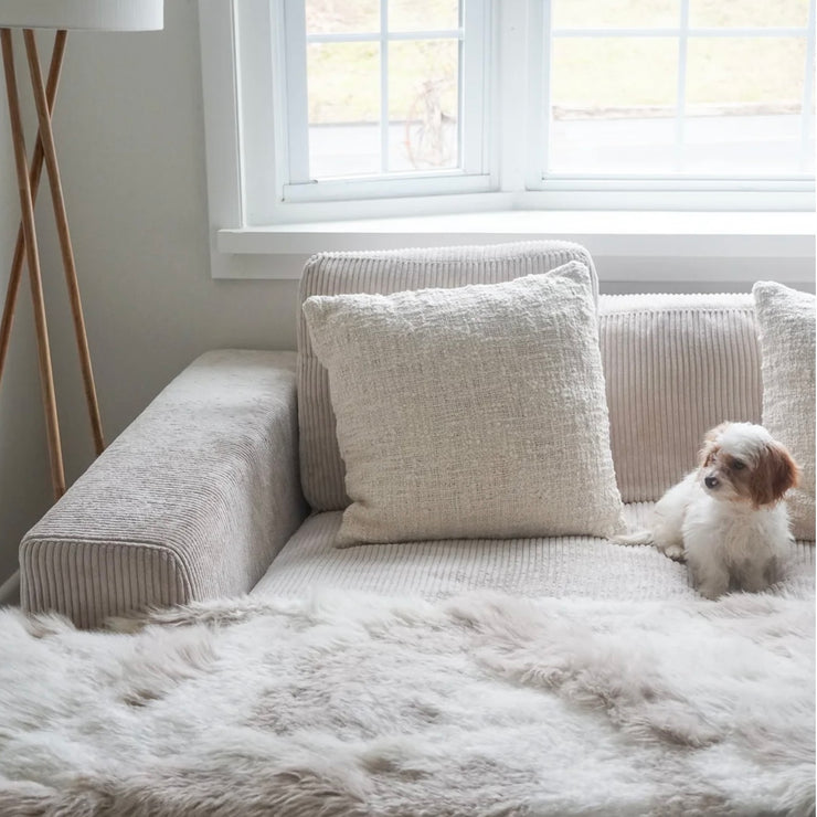 Anaya Home Cozy Cotton White Boucle Euro Pillow 26x26 With Down Insert
