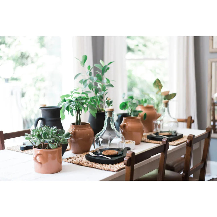 etúHOME Demijohn Mouth Blown Glass Cloche ~ LAST CHANCE SALE ~ LIMITED QUANTITIES