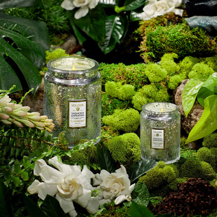 Voluspa Yashioka Gardenia Large Jar Candle ~ 18 oz