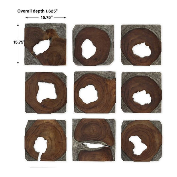 Uttermost Jungle Set of 9 Dark Coffee Brown and Rustic Black Suar Wood Wall Art Decor