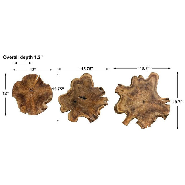 Uttermost Kalani Set of 3 Honey Glazed Natural Teak Wood Wall Art Decor