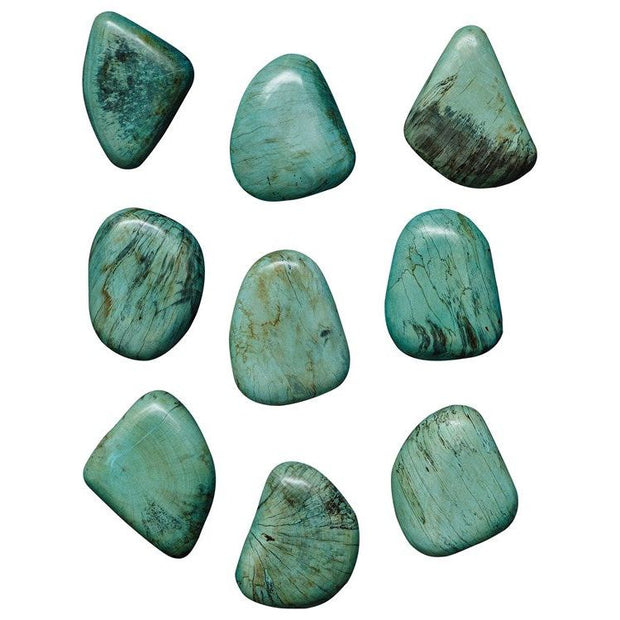 Uttermost Pebbles Set of 9 Aqua Finish Spalted Tamarind Wood Wall Art Decor