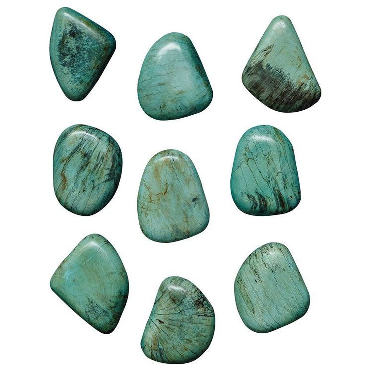 Uttermost Pebbles Set of 9 Aqua Finish Spalted Tamarind Wood Wall Art Decor