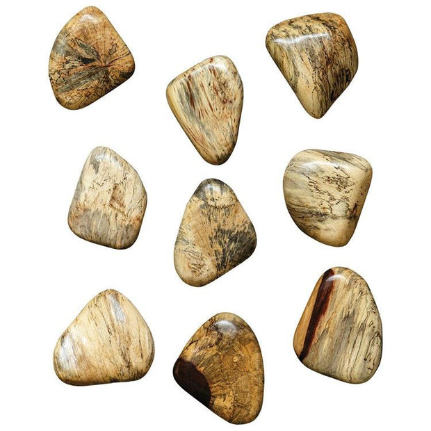Uttermost Pebbles Set of 9 Natural Blonde Finish Spalted Tamarind Wood Wall Art Decor