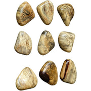 Uttermost Pebbles Set of 9 Natural Blonde Finish Spalted Tamarind Wood Wall Art Decor