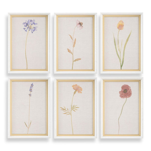 Uttermost Wild Flourish Framed Prints Set Of Six