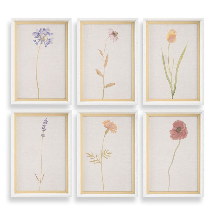 Uttermost Wild Flourish Framed Prints Set Of Six