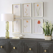 Uttermost Wild Flourish Framed Prints Set Of Six