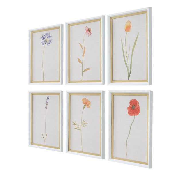 Uttermost Wild Flourish Framed Prints Set Of Six