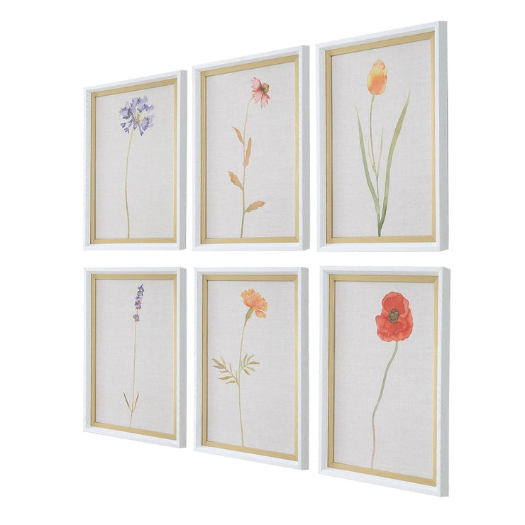 Uttermost Wild Flourish Framed Prints Set Of Six