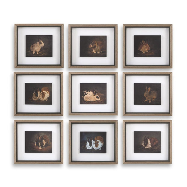 Uttermost Resting Bunny Framed Prints Set Of Nine
