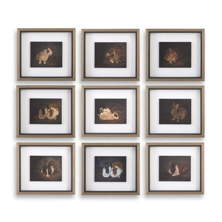 Uttermost Resting Bunny Framed Prints Set Of Nine