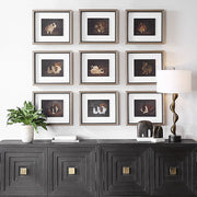 Uttermost Resting Bunny Framed Prints Set Of Nine
