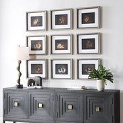 Uttermost Resting Bunny Framed Prints Set Of Nine
