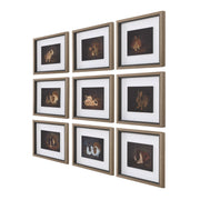 Uttermost Resting Bunny Framed Prints Set Of Nine