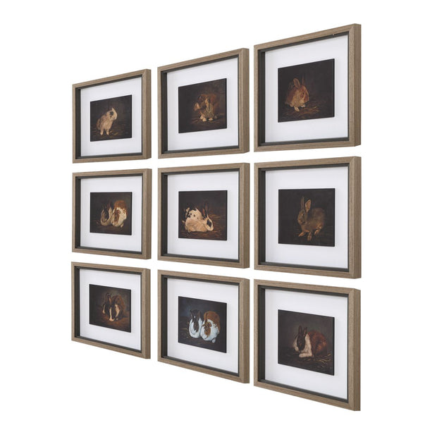 Uttermost Resting Bunny Framed Prints Set Of Nine