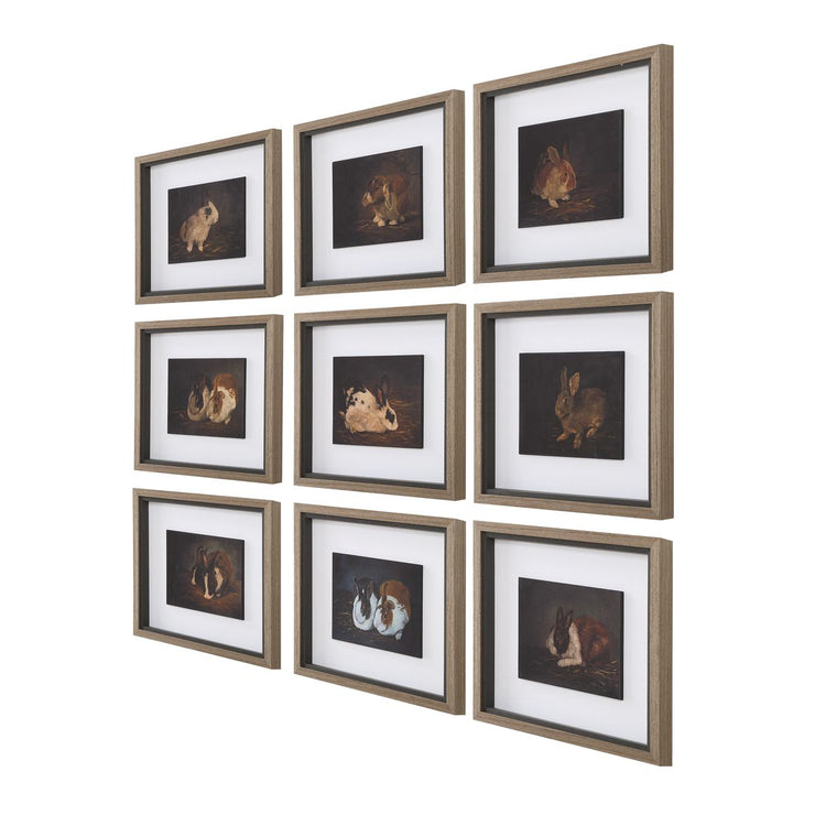 Uttermost Resting Bunny Framed Prints Set Of Nine