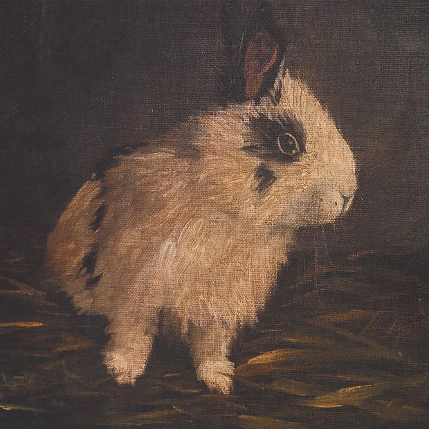 Uttermost Resting Bunny Framed Prints Set Of Nine