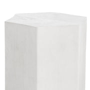 Crestview Collection Caspian Whitewashed Mango Wood Modern End Table