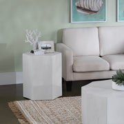 Crestview Collection Caspian Whitewashed Mango Wood Modern End Table