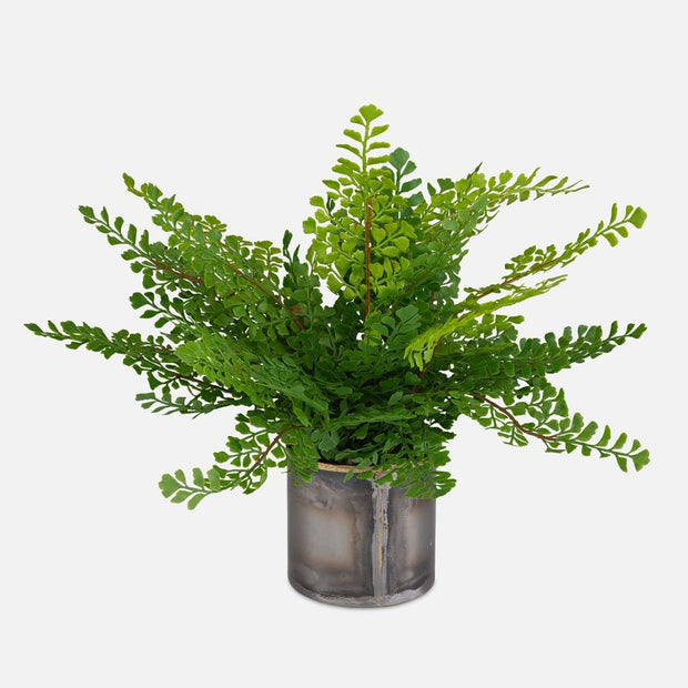 Uttermost Maidenhair Fern Accent Botanicals