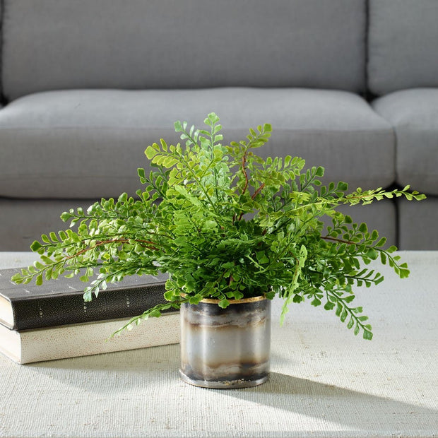 Uttermost Maidenhair Fern Accent Botanicals